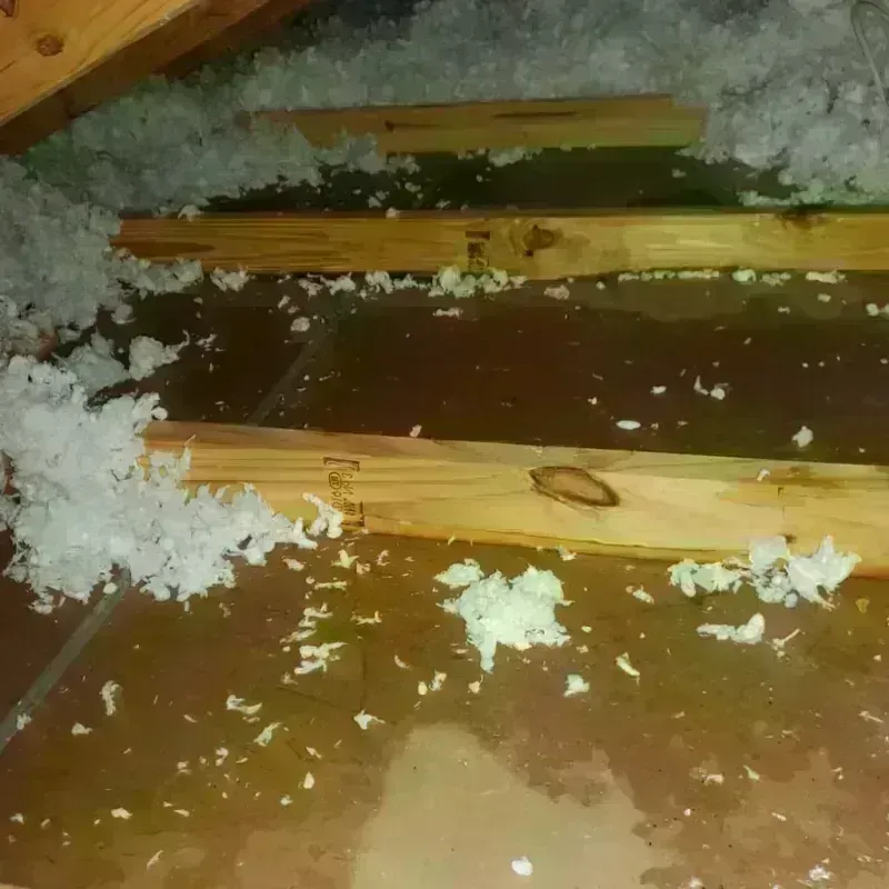 Attic Water Damage in Wrightsboro, NC